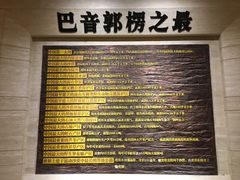 -巴音郭楞蒙古自治州博物馆