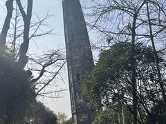 -上海佘山国家森林公园天马山园