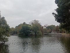 -荔湾湖公园