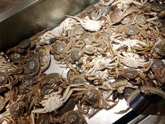 -欢乐牧场海鲜烤肉自助(牡丹园店)