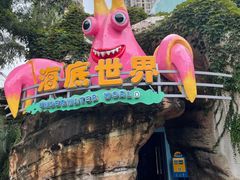 -海合安成都极地海洋公园