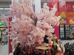 -家乐福(四元桥购物中心店)
