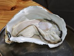 -阿鸡鱼庄·顺德鲜蒸小炒(亚运村店)