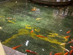 -惠食佳(滨江大公馆店)