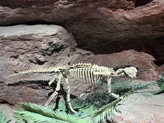 -安徽省地质博物馆