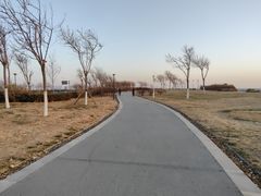 -东堤公园