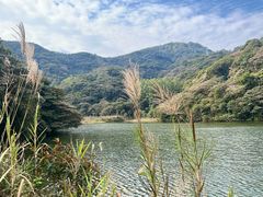 -黄埔油麻山森林公园