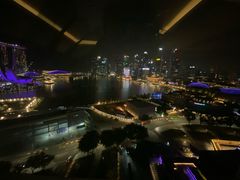 -新加坡文华东方酒店