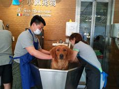 -PETKIT小佩宠物(古北店)