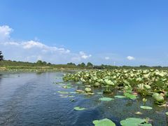 -上海海湾国家森林公园