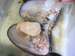 -十八字金·银饰·拼豆·开蚌DIY(魏公芳华里店)