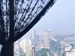 -翡翠29旋转餐厅·镇江国际雷迪森广场酒店