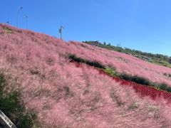 -沂蒙云瀑洞天景区