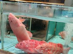 -阿伟海鲜楼·福建菜(延寿店)