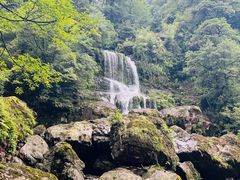 -龙苍沟森林公园