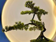 -席仁堂推拿按摩脊柱调理(世纪科贸大厦店)