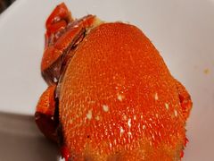 -味餐厅·海鲜·火锅·自助餐