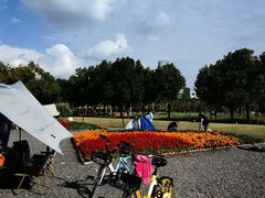-上海山野camping·户外天幕烧烤·团建拓展营地