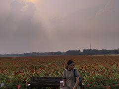 -山明水秀大饭店