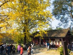 -佛荫寺