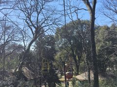 -WeLope紫金山探险公园