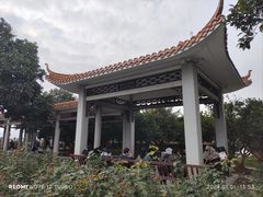 -橘子洲景区