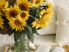 -霸王茶姬(上海恒基名人店)