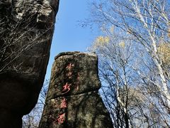 -汤旺河林海奇石景区