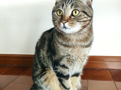 -Catmate·猫肥家润(金润铂宫店)