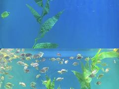 -南昌融创海世界