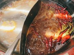 -海底诱惑(中骏世界城店)
