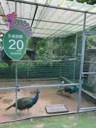 -萌宠亲子动物乐园(槐房万达店)