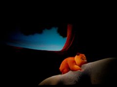 -博纳国际影城(淄博店)