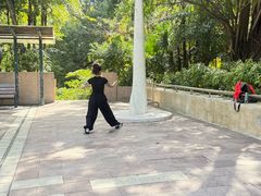 -九龙公园