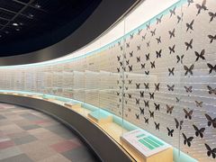 -陕西自然博物馆