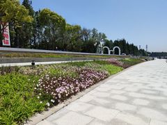 -瀛洲公园