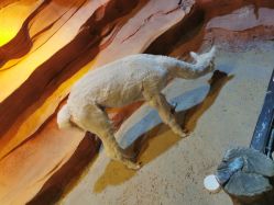 -酷嗒动物文化乐园(cutezoo西溪乐天城店)