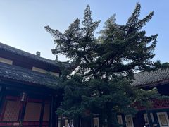 -成都市文殊院