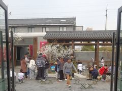 -菊园百果园