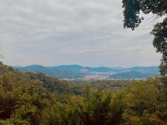 -火炉山森林公园