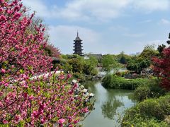 -盘门景区