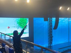 -宝能国际体育演艺中心