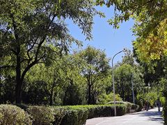 -绿堤公园
