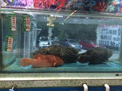 -御唐府海珊瑚主题餐厅