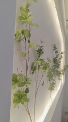 点击看大图 -VE专注问题肌·赛诺龙&科学美肤中心