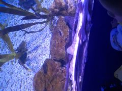 -梦幻海洋王国(吾悦广场张家港店)