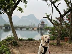 -靖西鹅泉风景区