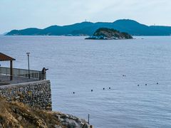 -海源公园