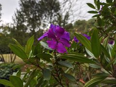 -火炉山森林公园