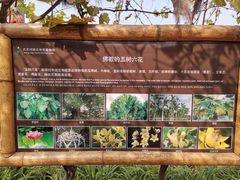 -呀路古热带植物园